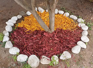 Madera picada para jardín o parque