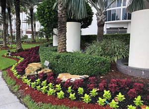 Mulch decorativo