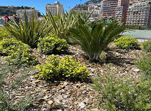 Mulch de madera picada para parques